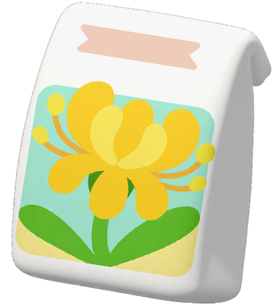 Yellow Spider Lily Seed