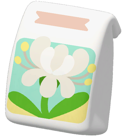 White Spider Lily Seed