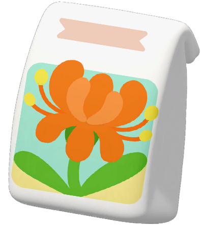 Orange Spider Lily Seed