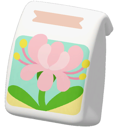 Pink Spider Lily Seed