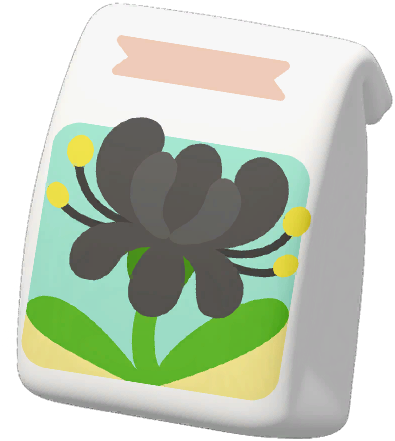 Black Spider Lily Seed