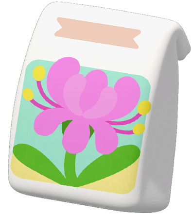 Peach Spider Lily Seed