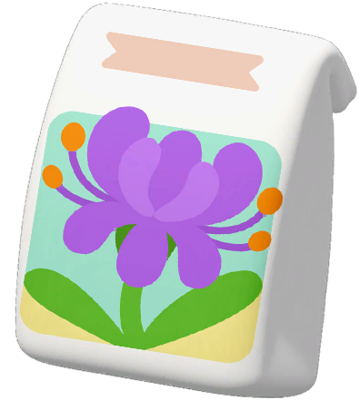 Purple Spider Lily Seed