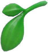 Leaf
