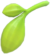 Leaf
