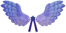 Starlight Badge Owl Wings