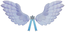Starlight Badge Owl Wings