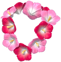 Hibiscus Garland