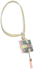 Crossbody Book Strap Carrier