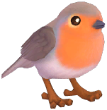 European Robin