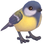 Great Tit