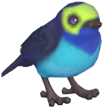 Paradise Tanager