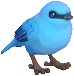 Verditer Flycatcher