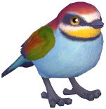 European Bee-Eater