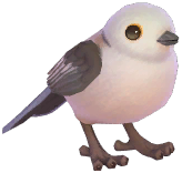 Silver-Throated Tit