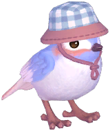 Gray Camping Sparrow