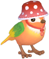 Orange Camping Sparrow