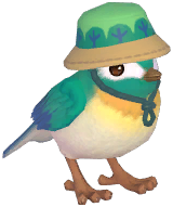 Green Camping Sparrow