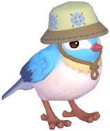 Blue Camping Sparrow
