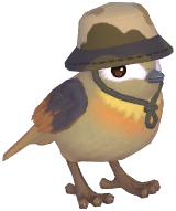 Brown Camping Sparrow
