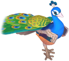 Blue Peafowl