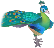 Green Peafowl
