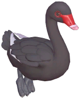 Black Swan
