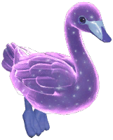 Purple Starry Swan