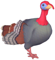 Turkey