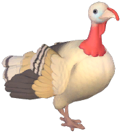 Royal Palm Turkey