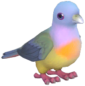 Pink-Necked Green Pigeon