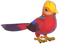 Golden Pheasant