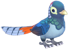 Lady Amherst's Pheasant