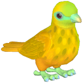 Wallace's Fruit Dove