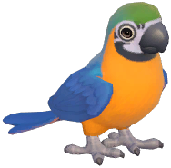 Blue-and-yellow Macaw