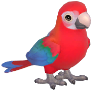 Red-and-green Macaw