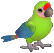 Great Green Macaw