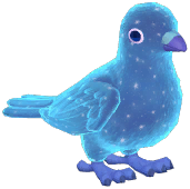 Blue Starry Stock Dove