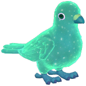 Green Starry Stock Dove
