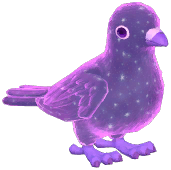 Purple Starry Stock Dove