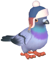 Blue Hat Stock Dove