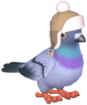 Brown Hat Stock Dove