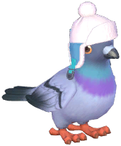 White Hat Stock Dove