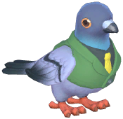 Green Suit Dove