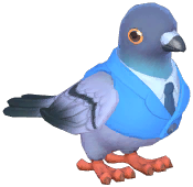 Blue Suit Dove