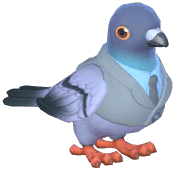 Gray Suit Dove