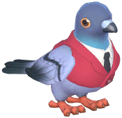 Red Suit Dove