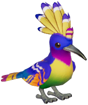 Colorful Hoopoe