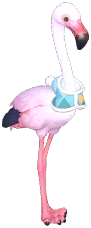 Winter Greater Flamingo