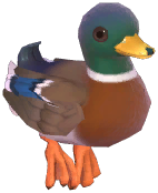 Mallard